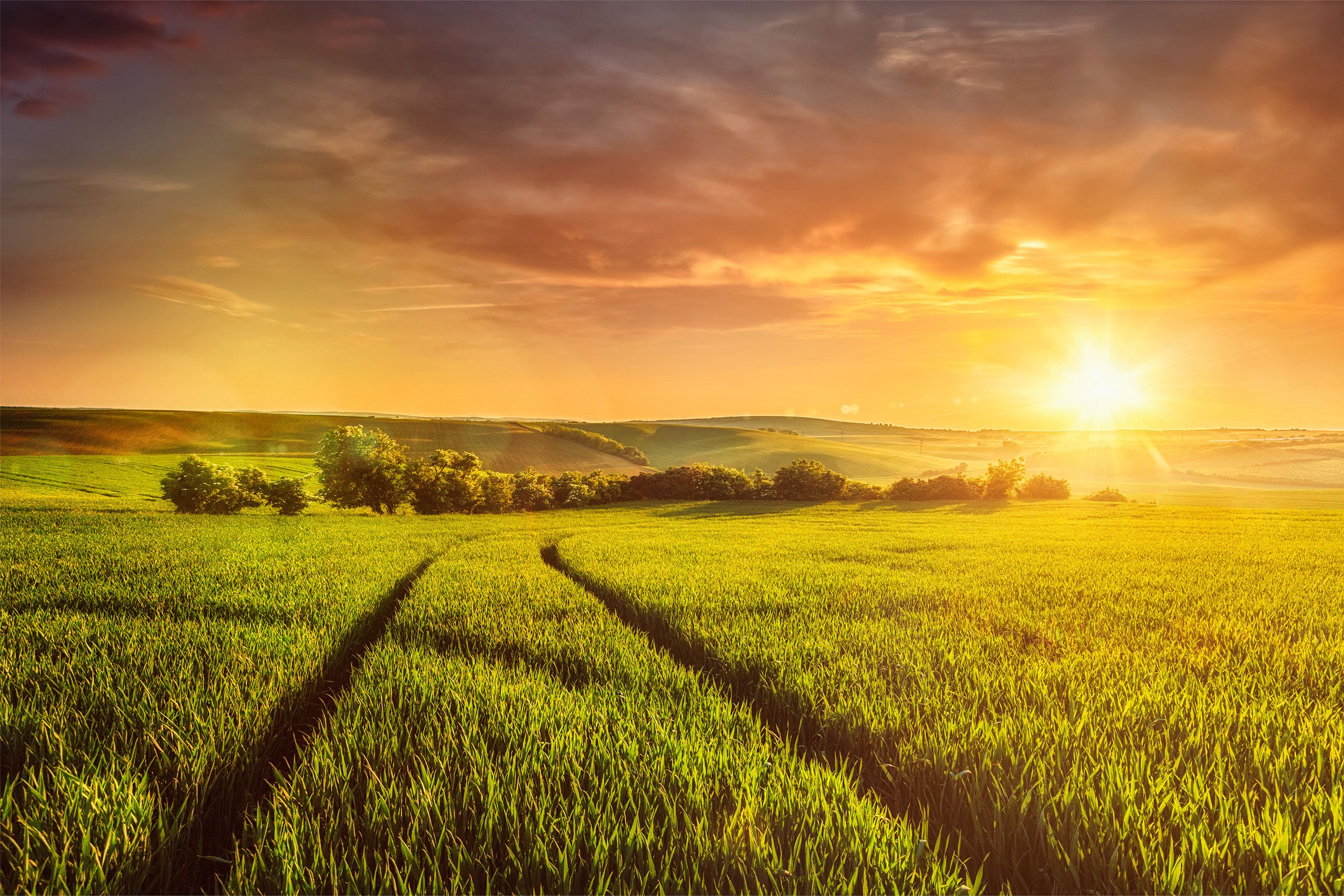 PPS AGRO a.s. Strachotín